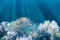 Un ~okeanos di servizi virtuali Un ~okeanos di servizi virtuali