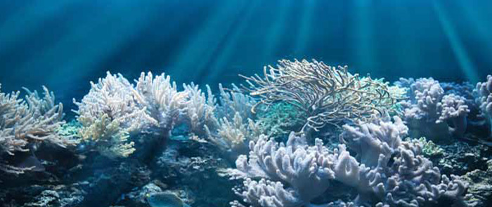 Un ~okeanos di servizi virtuali Un ~okeanos di servizi virtuali