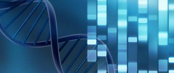 Leggere il DNA per combattere le malattie genetiche Leggere il DNA per combattere le malattie genetiche