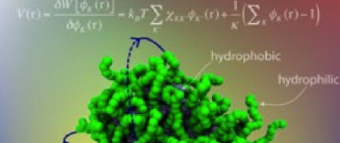 ENEA :: Progettata al computer la formula del detergente utile per studiare i tumori ENEA :: Progettata al computer la formula del detergente utile per studiare i tumori