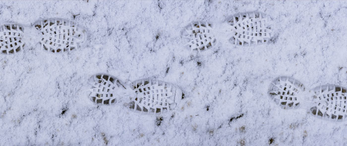 Photo credits: Inactive/Pexels Aminavi: sulle tracce di un killer silenzioso