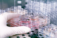 La comunità GARR insieme per la ricerca biomedica La comunità GARR insieme per la ricerca biomedica